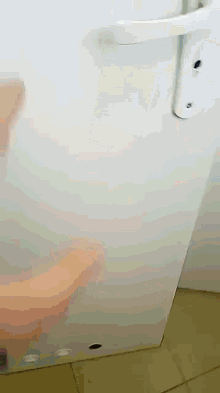 Dziąsełko Surprised GIF - Dziąsełko Surprised Toilet GIFs