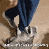 a person is kicking a dog with the words me andreas lastidayog in the corner