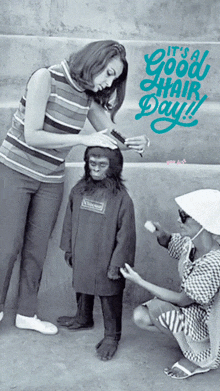 a woman brushing a monkey 's hair with the words it 's a good hair day below