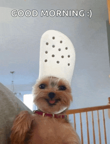 a small brown dog wearing a white hat with the words good morning written below it