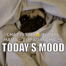 Pug Mood GIF - Pug Mood Life GIFs