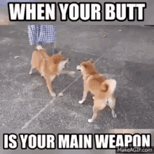 Butt Weapon GIF - Butt Weapon GIFs