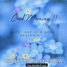 a picture of blue flowers with the words good morning and happy thursday carla on it