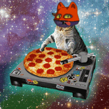 Cat Mars Cats Voyage GIF - Cat Mars Cats Voyage Pizza GIFs
