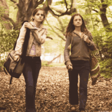 Hermione And Ginny Ginny And Hermione GIF - Hermione And Ginny Ginny And Hermione Walking Together GIFs