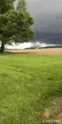 Tornado Funnel Clouds GIF