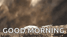 a feather is sitting on top of a rock with the words `` good morning '' written on it .