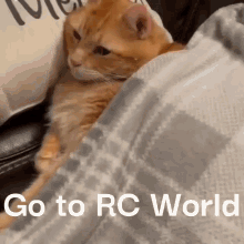 Rc Rc Cars GIF - Rc Rc Cars Rc Trucks GIFs
