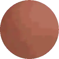 a pixel art drawing of a brown circle on a white background