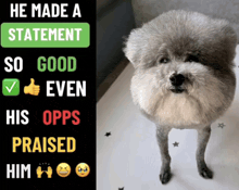 a picture of a dog with the words he made a statement so good even his opps praised him