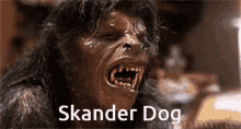 Skander Dinostan GIF - Skander Dinostan Skander Dog GIFs