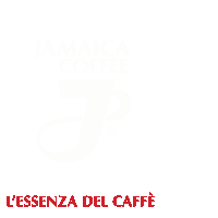 a red and white logo that says bianca coffee