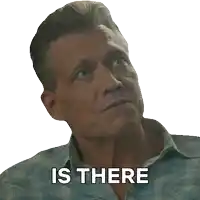 a man in a plaid shirt says something else on a white background
