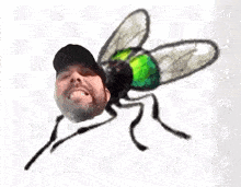 a fly with a man 's head on its back