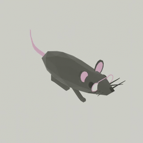 Rat Spinning 