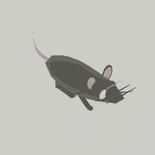 Rat Spinning GIF - Rat Spinning Spin GIFs