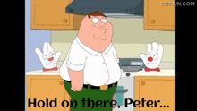 Hold On There Peter Family Guy GIF - Hold On There Peter Family Guy Hamburger Helper GIFs