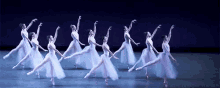 Ballet GIF - Ballet GIFs