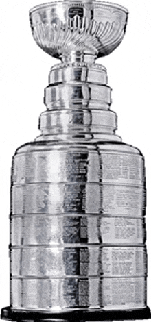 Stanley Cup Hockey GIF - Stanley Cup Stanley Hockey GIFs