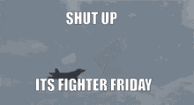 F22 Fighter GIF - F22 Fighter Thrust Vectoring GIFs
