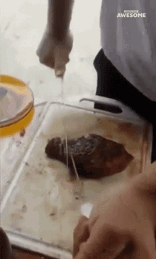 Slicing People Are Awesome GIF - Slicing People Are Awesome Meat Slice GIFs