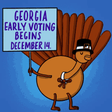 Georgia Early Voting Vote Early GIF