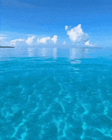 a turquoise ocean with a blue sky and clouds reflected in the water
