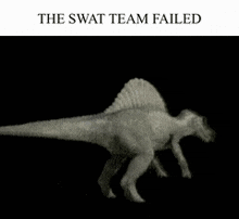 Spinosaur The Swat Tea Failed GIF - Spinosaur The Swat Tea Failed GIFs