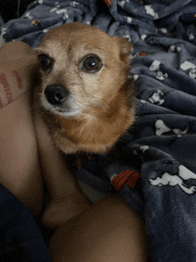 Good Morning GIF - Good Morning GIFs