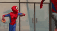 Bagel Spiderverse GIF - Bagel Spiderverse Into GIFs