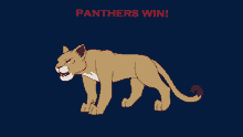 Florida Panthers GIF - Florida Panthers Panthers Win GIFs