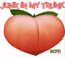 Bcfd Junk GIF - Bcfd Junk Trunk GIFs