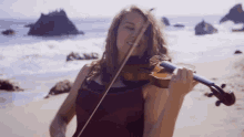 playing violin taylor davis dragon roost island feel the music graceful