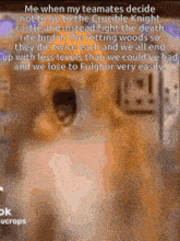 a picture of a cat with a caption that says me when my teammates decide not to go to the crucible knight
