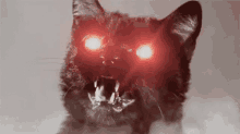 Cat Scary GIF - Cat Scary Demon GIFs