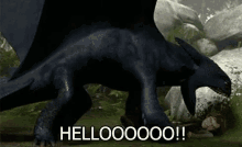 Hello How To Train Your Dragon GIF