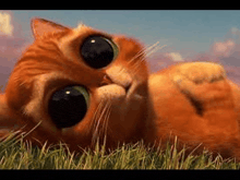 a cartoon cat is laying on its back in the grass looking at the camera .