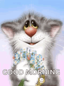 Good Morning Sparkles GIF - Good Morning Sparkles Cat GIFs