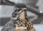 Hi Robin GIF - Hi Robin GIFs