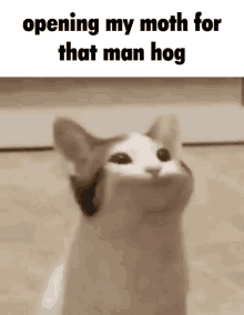 Manhog GIF - Manhog Man Hog GIFs