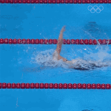 Swimming Katie Ledecky GIF - Swimming Katie Ledecky Olympics GIFs