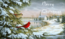 Merry Christmas Cardinal GIF