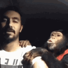 Chimpanzee Human GIF - Chimpanzee Human Bros Hangout GIFs
