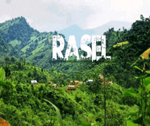 Rasel GIF - Rasel GIFs