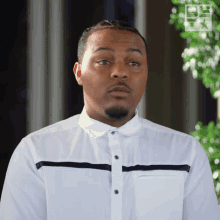 Shake My Head Bow Wow GIF - Shake My Head Bow Wow After Happily Ever After GIFs