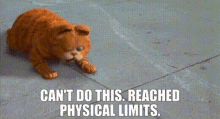 Garfield Cant Do This GIF - Garfield Cant Do This Reached Physical Limits GIFs