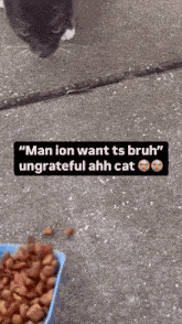 a cat standing next to a bowl of cat food with a caption that says " man ion want ts bruh "