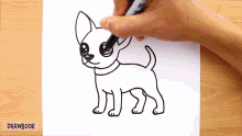 a person is drawing a chihuahua with a marker on a piece of paper