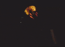 a blurry picture of a person wearing a shirt that says ' usc ' on it