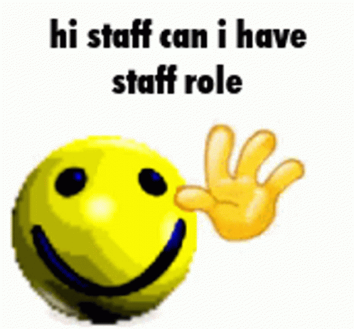 Hi Staff Discord Staff Meme Gif Hi Staff Discord Staff Meme Dingo Descubre Y Comparte Gif